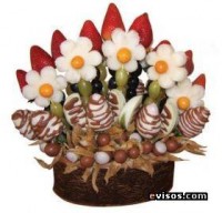 /album/fotogaleria/a395289-109318572524023-312956680-n-copia-jpg/